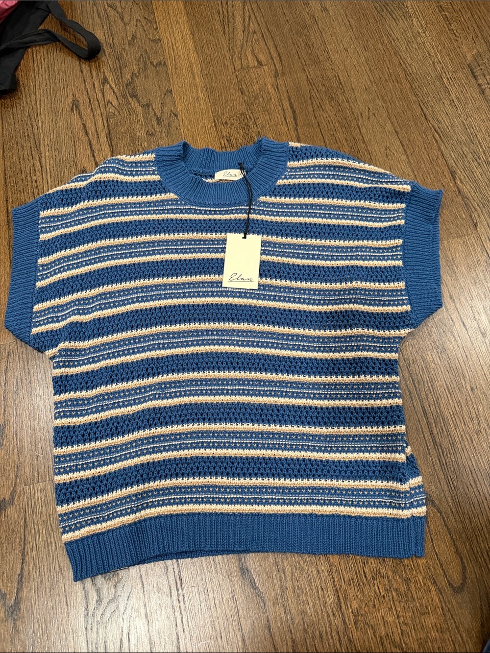 Elan Blue Striped Knit short sleeve sweater